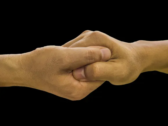 엘아이브이이 카지노 지원